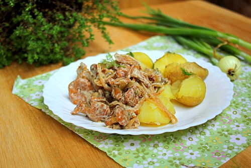Лисички с луком в сметане рецепт с пошаговыми фото | Меню недели